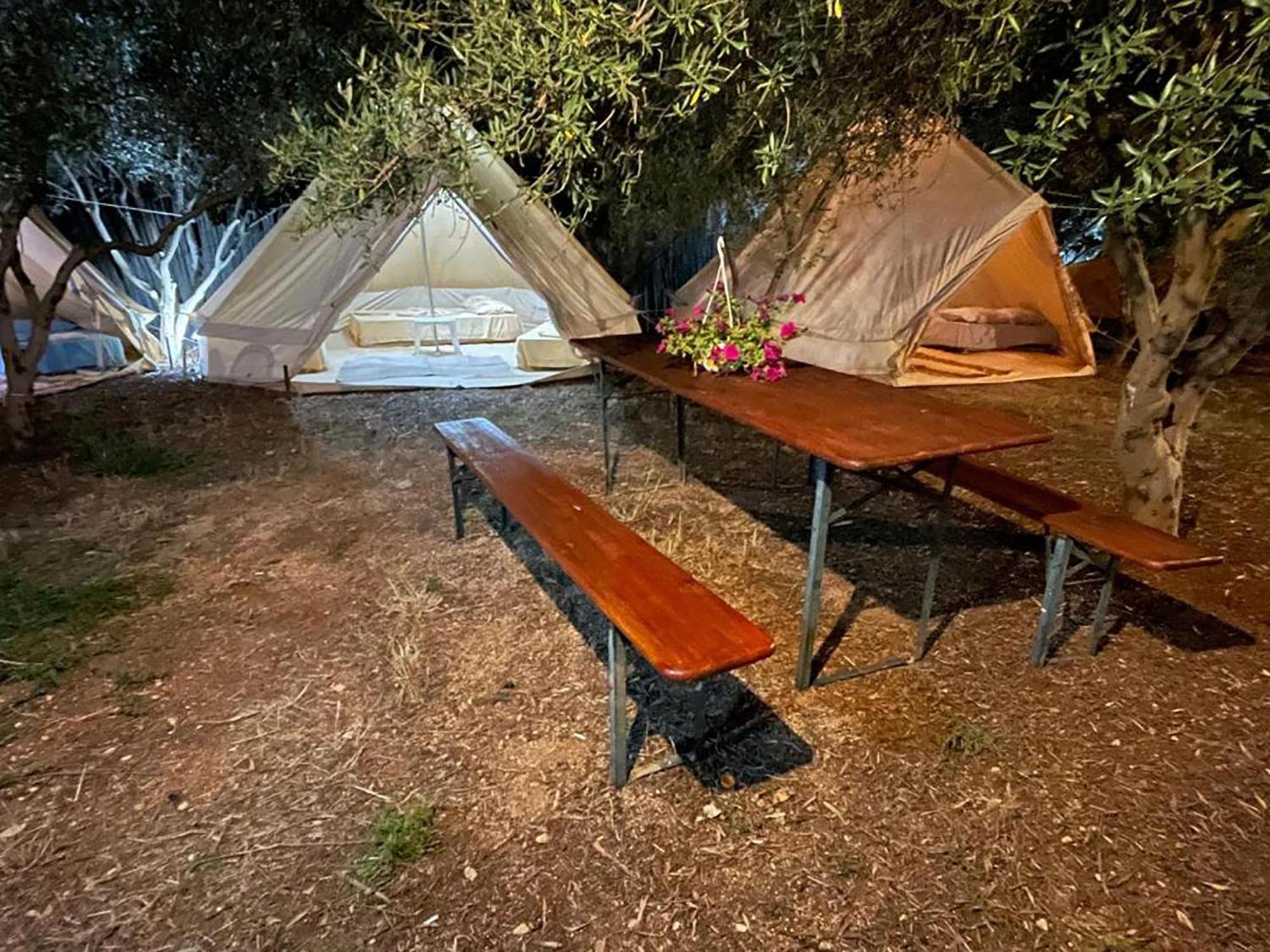 Garden * Ksamil