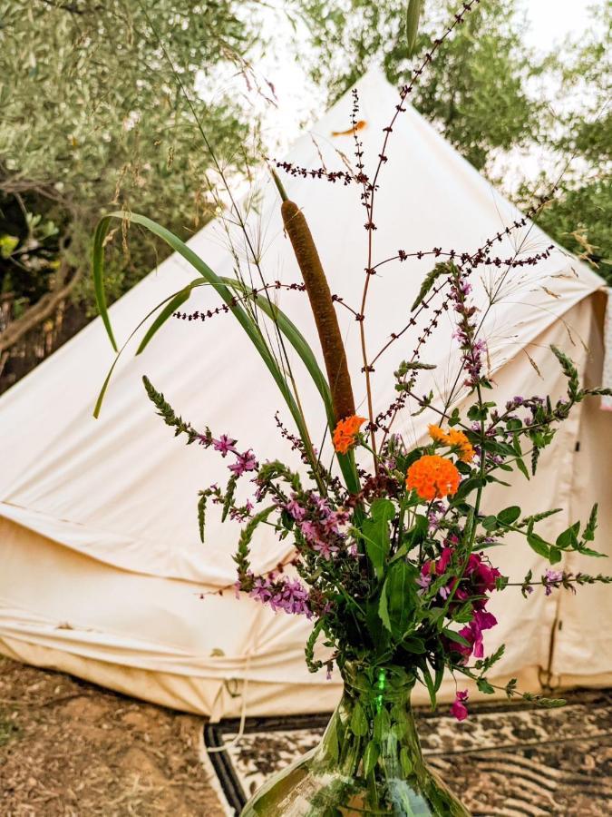 Garden Luxury tent *