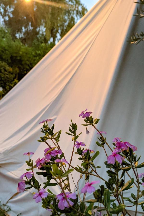 Garden Luxury tent *