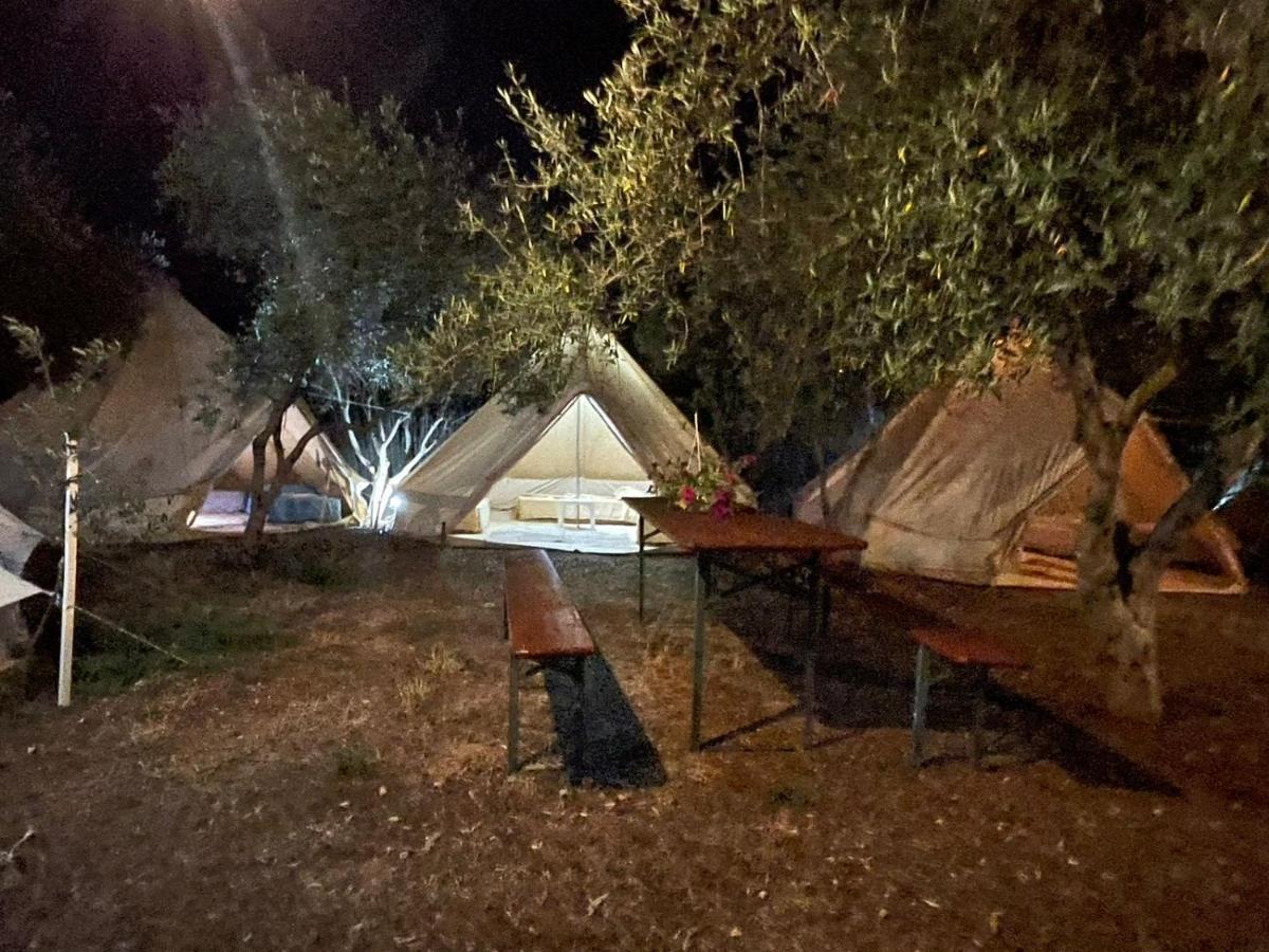 Garden Luxury tent Ksamil