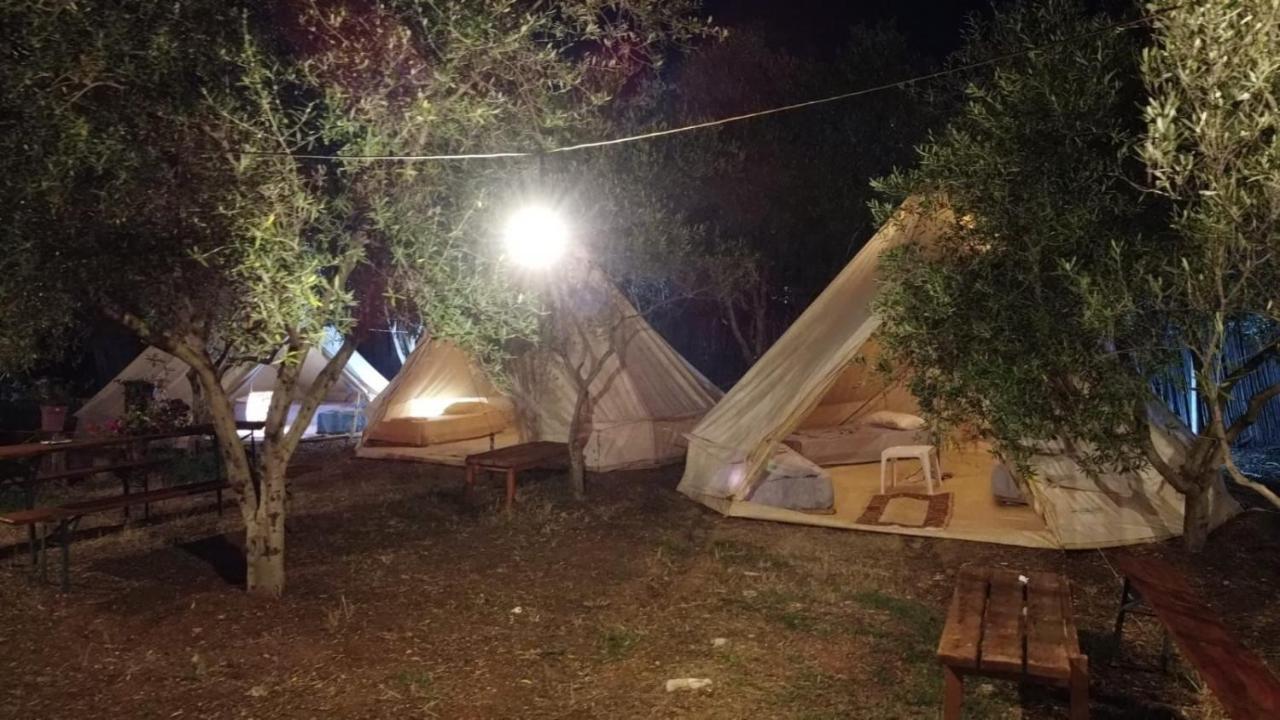 Luxury tent Garden Ksamil