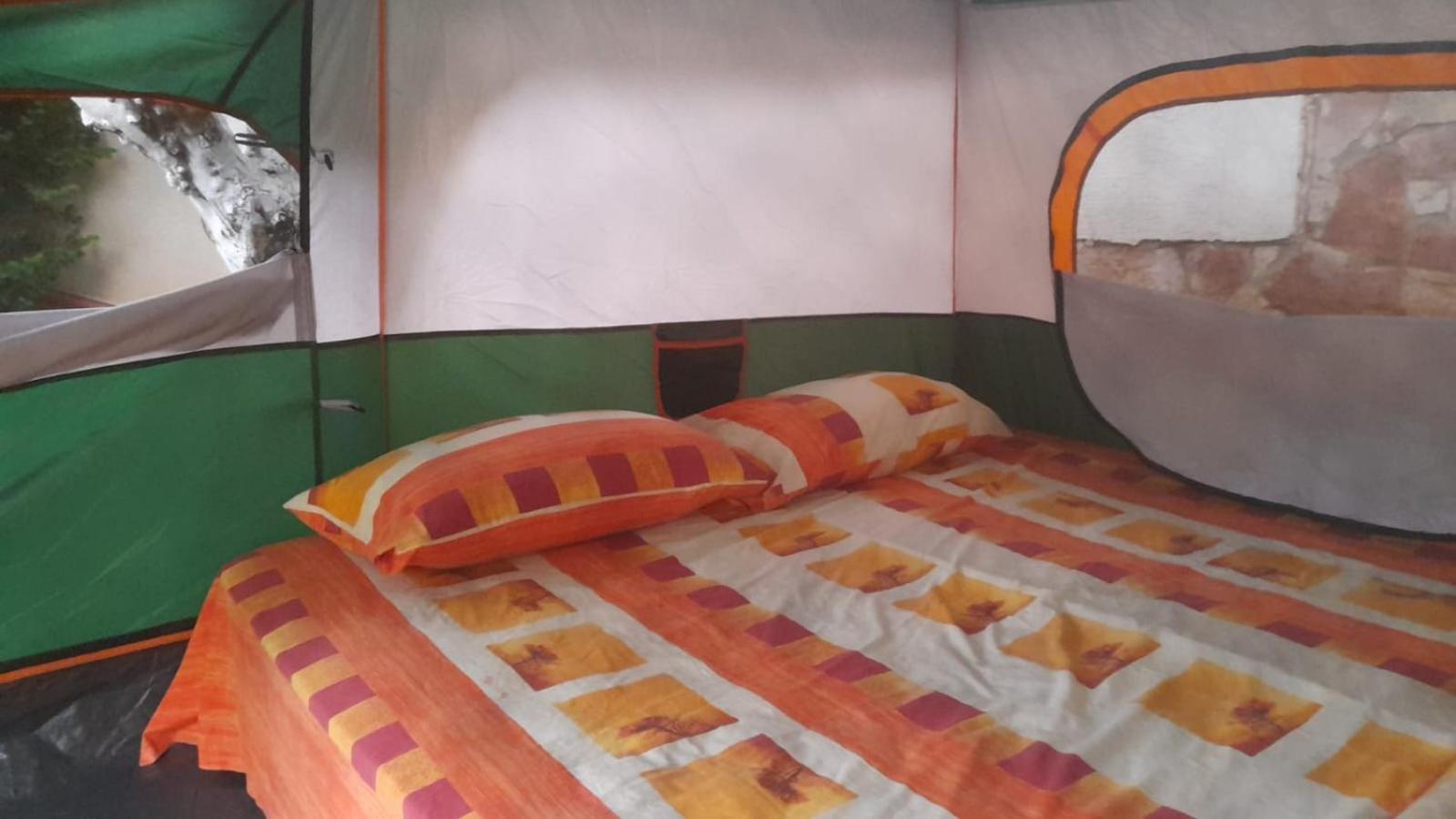 Luxury tent Garden Ksamil