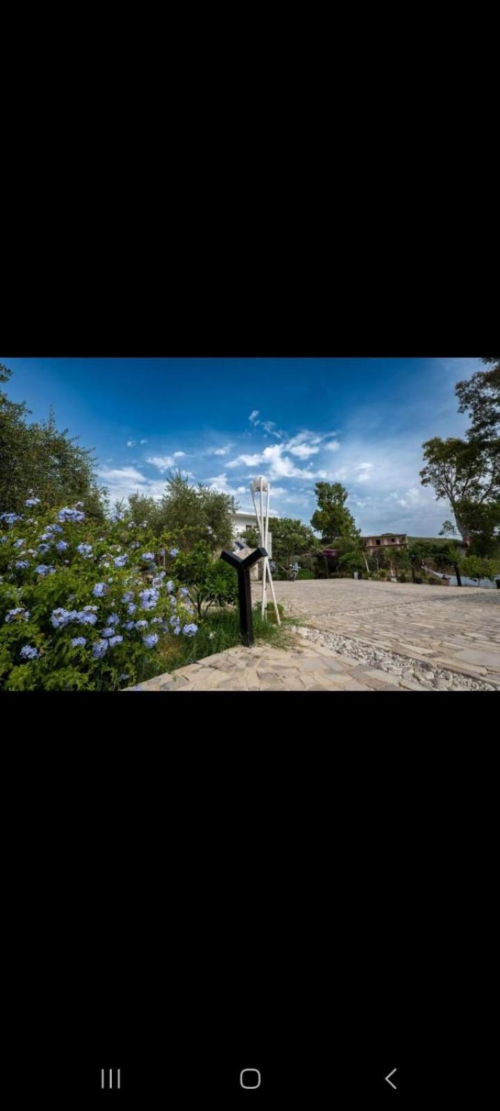 Garden *